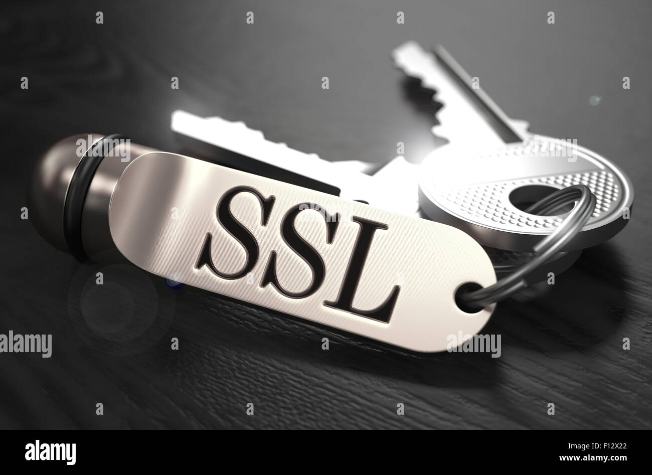 SSL-Konzept. Schlüssel mit Schlüsselring. Stockfoto