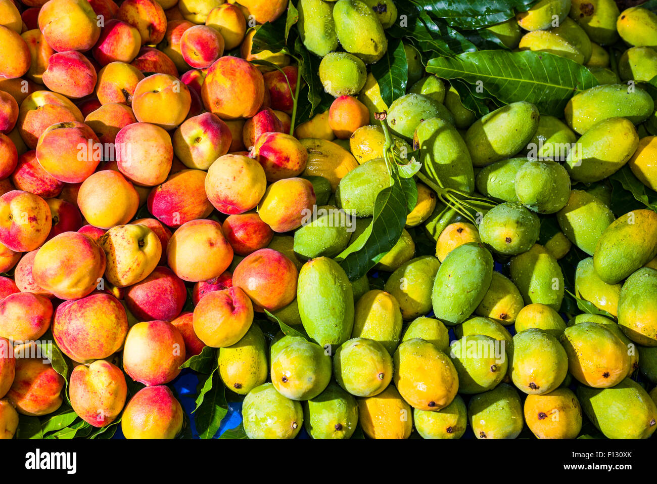 Frische Mangos und Pfirsiche sind für den Verkauf in den Obstmarkt, Rishikesh, Uttarakhand, Indien angeordnet. Stockfoto