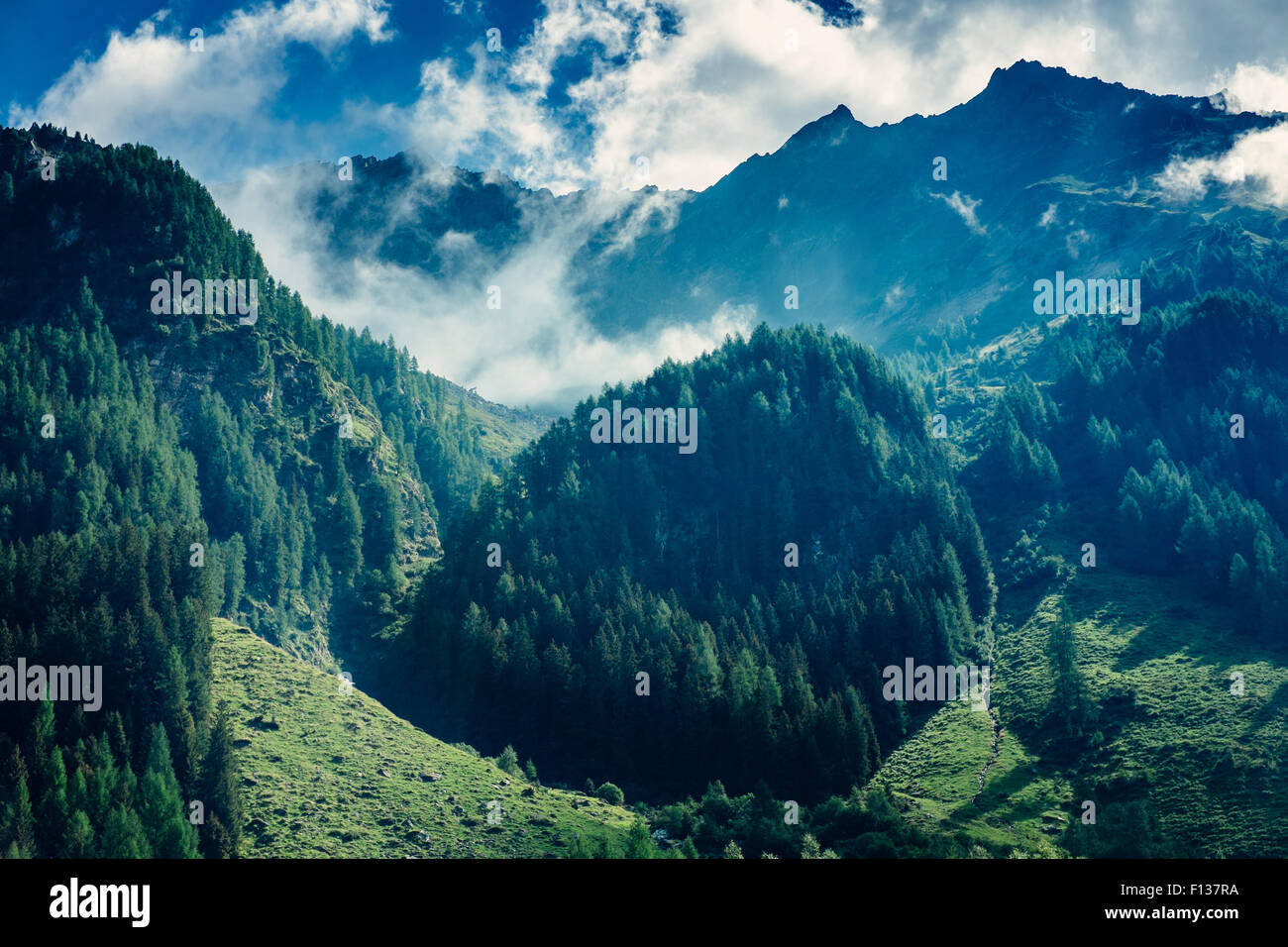 Habachtal Landschaft, Nationalpark Hohe Tauern, Tirol, Österreich Stockfoto