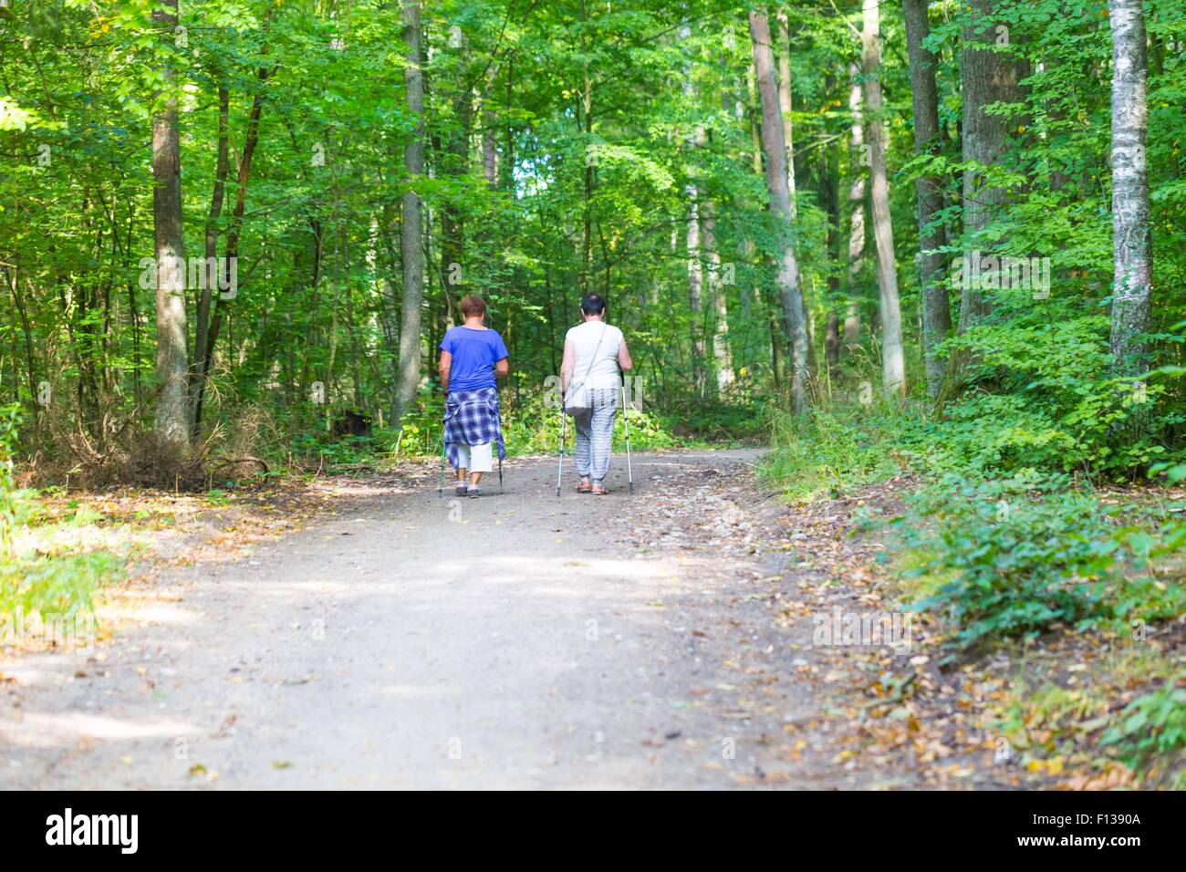 Zwei alte Womans nordic walking durch Waldweg. Sommer Wald mit zwei Damen, die zu Fuß. Stockfoto