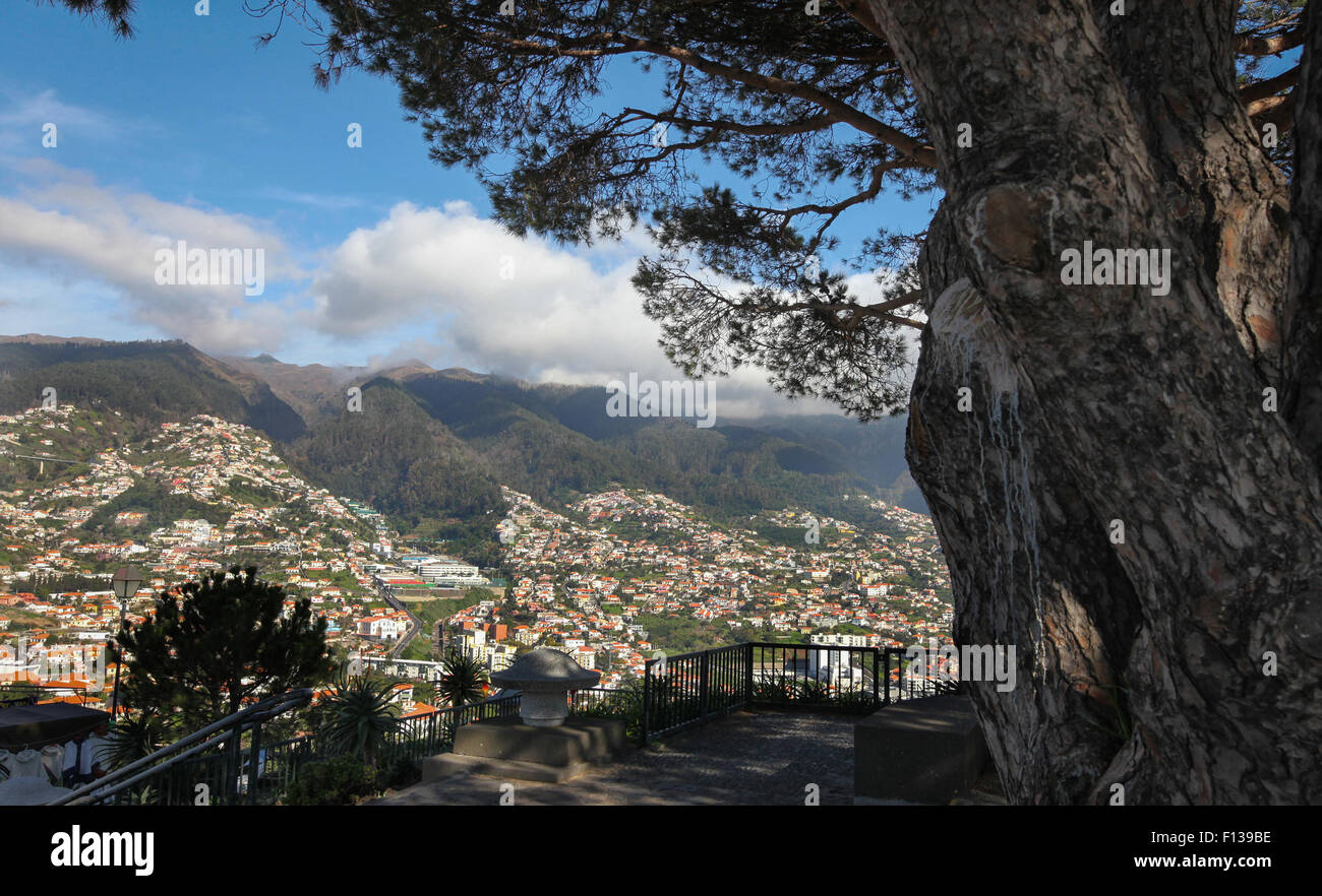 Landschaftsbild von Funchal, der Hauptstadt von Madeira, Portugal, Europa. Stockfoto