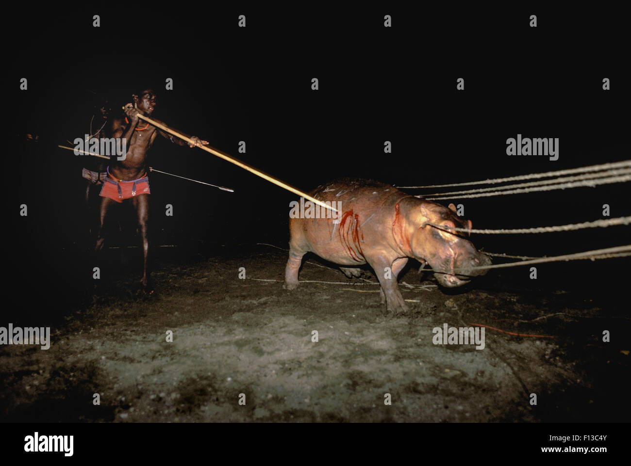 El Molo Krieger / Jäger Jagd Flusspferd (Hippopotamus Amphibius) Hippo Jagd mit pole Stangen und Seile, El Molo Stamm, Lake Turkana, Kenia. Stockfoto