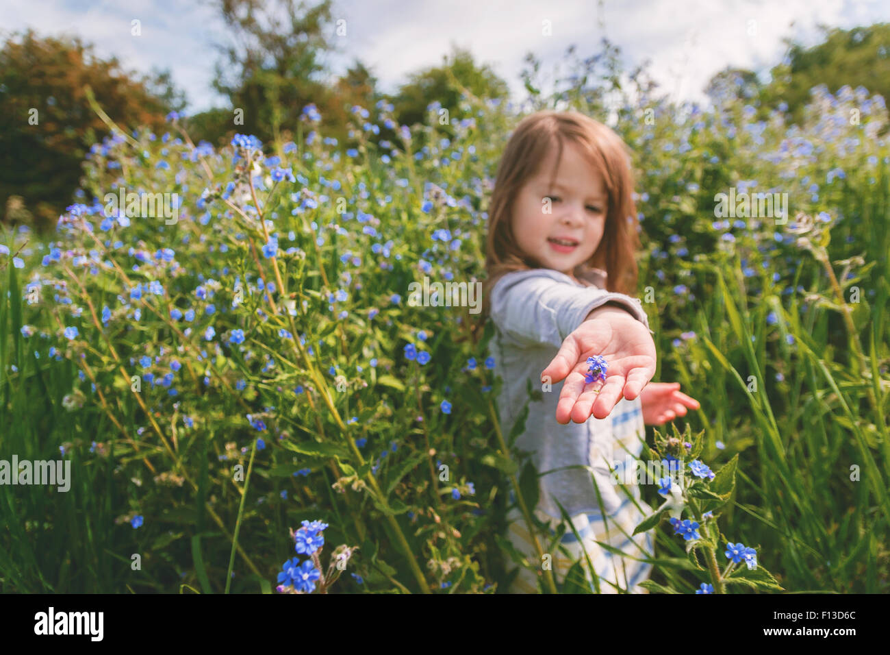 Mädchen hält eine Blume in der Handfläche von ihrer hand Stockfoto