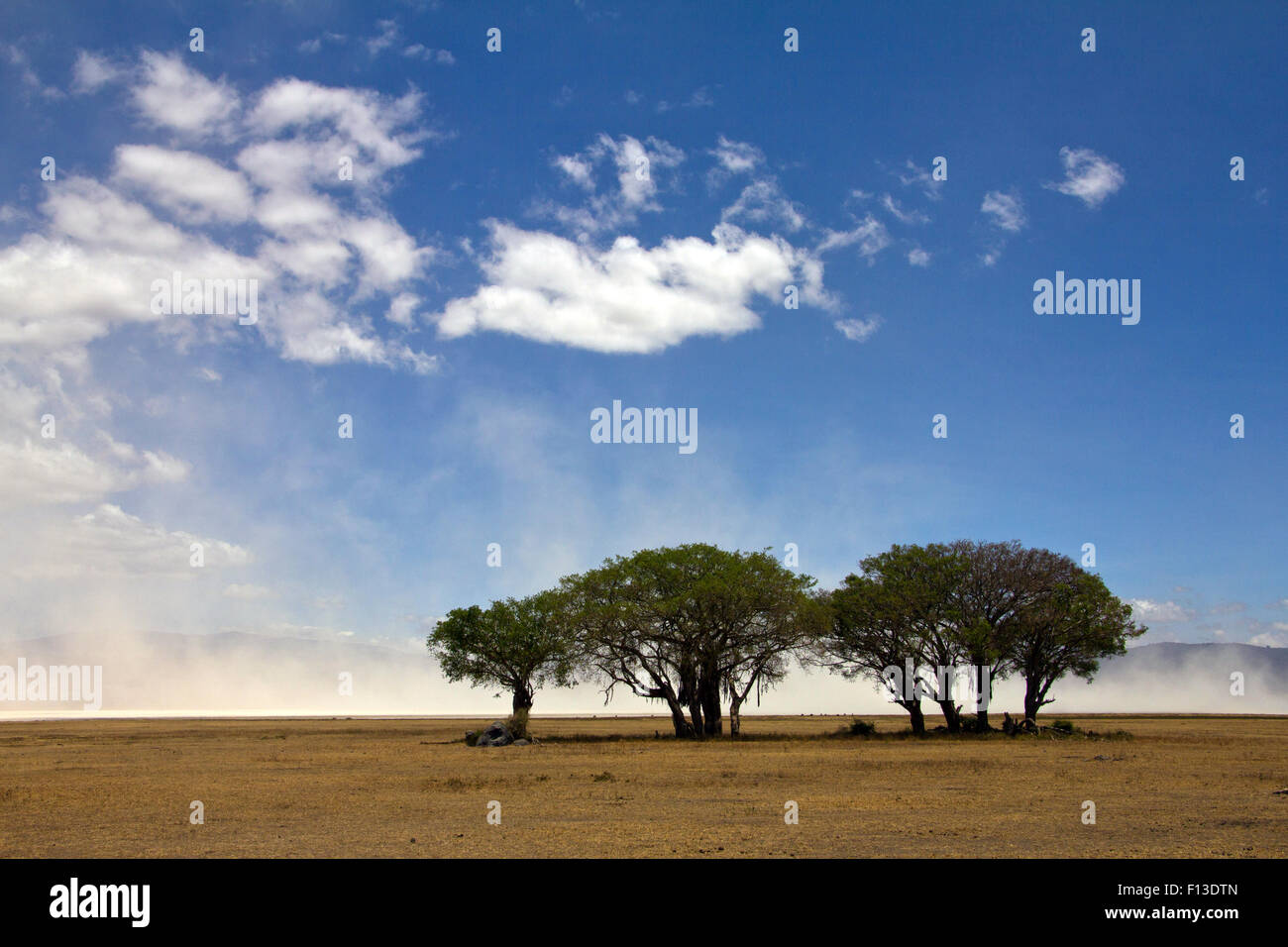 Wind bläst Staub aus Lake Magadi, Ngorongoro Crater, Tansania Stockfoto