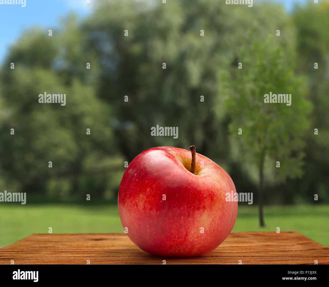 Roter Apfel auf im freien Himmel und Baum-Hintergrund Stockfoto