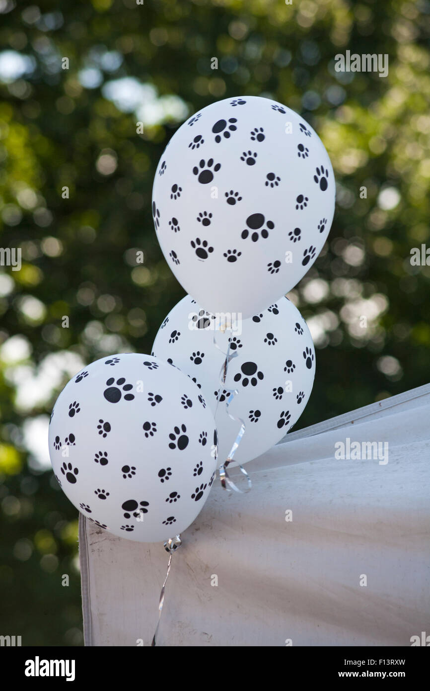 Grün Schwarz Gold Luftballons, 50 Stück 12 Zoll Metallic