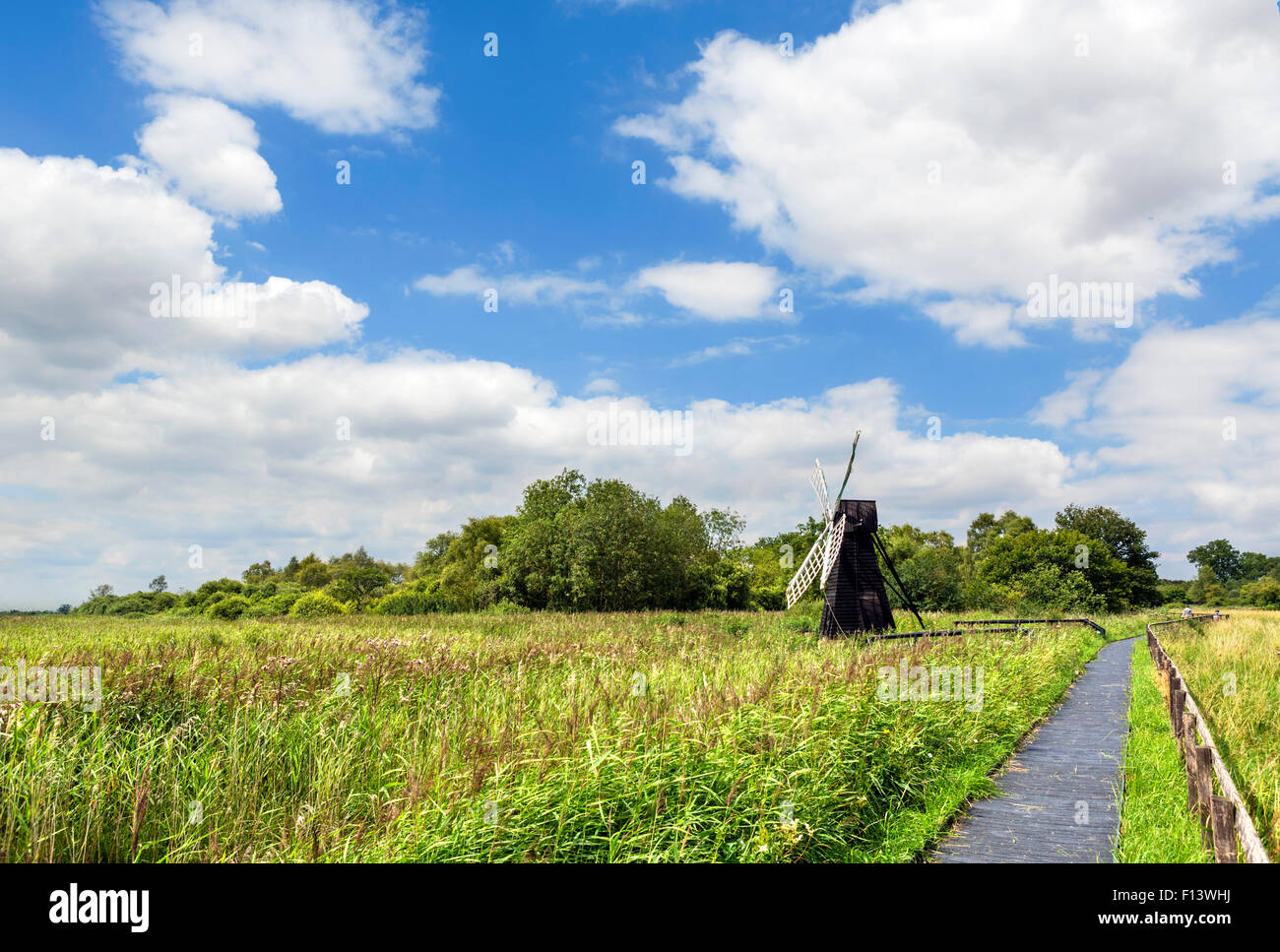 Trail durch Wicken Fen, ein Feuchtgebiet Naturschutzgebiet in der Nähe von Wicken, Cambridgeshire, England, UK Stockfoto