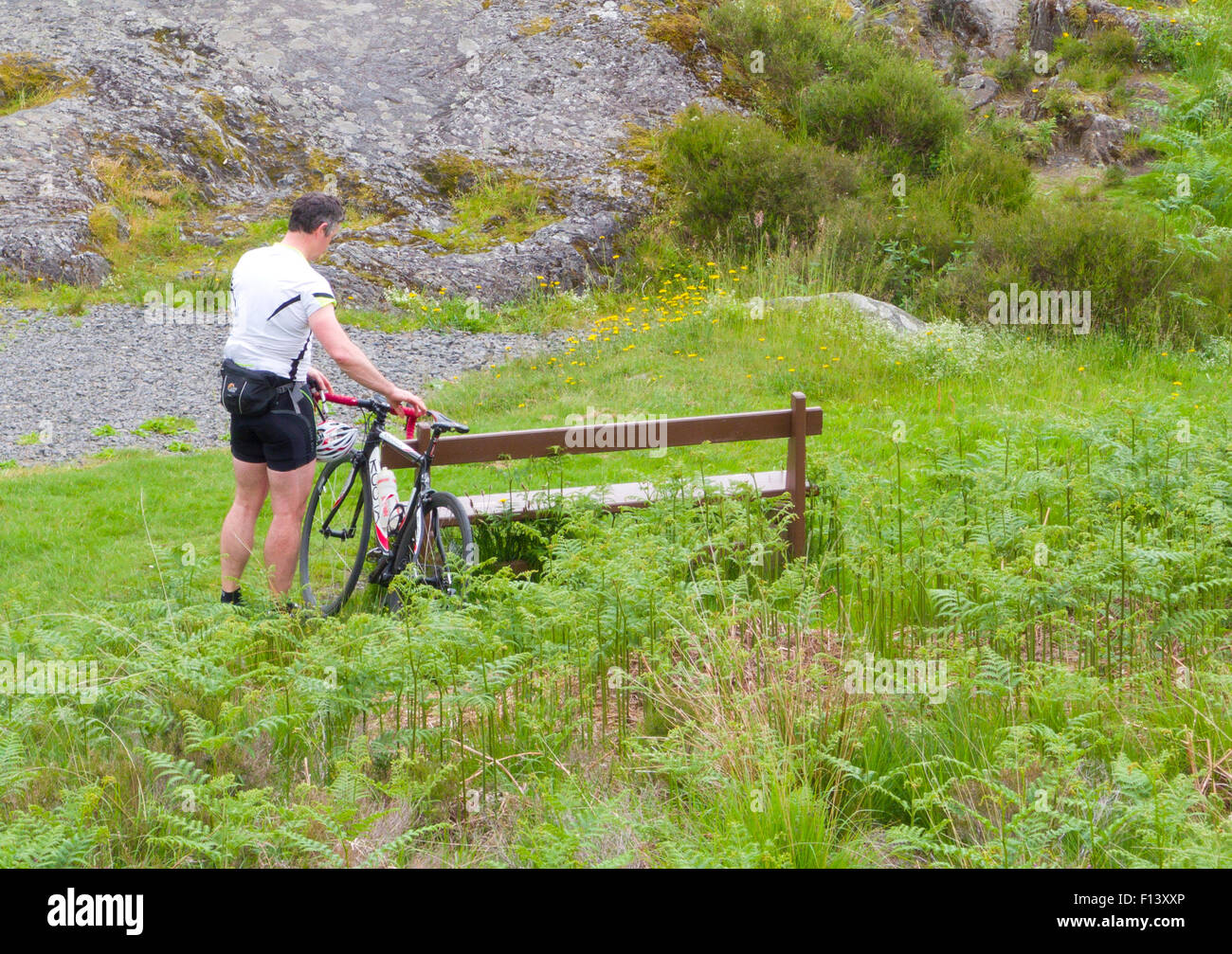 Radfahrer, die Demontage einer ruht sein Fahrrad gegen eine Bank, Glen Trool, Galloway Forest Park, Dumfries & Galloway, Schottland, UK Stockfoto