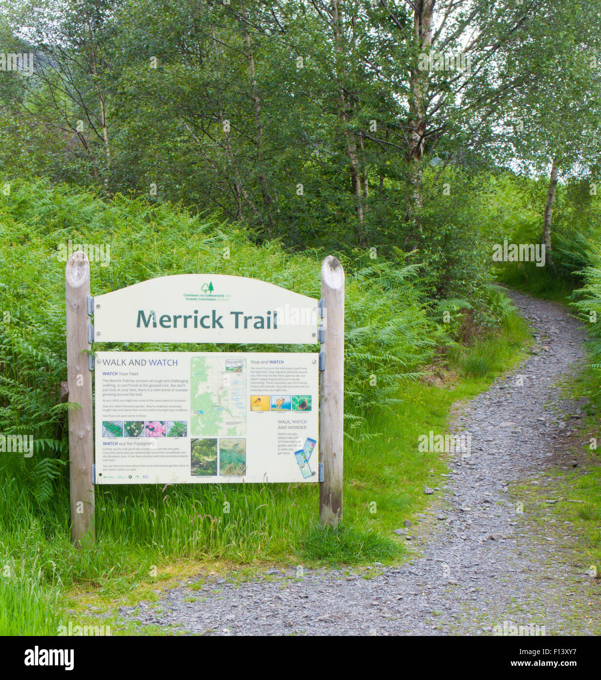 Merrick Trail Wanderweg, Glen Trool, Galloway Forest Park, Dumfries & Galloway, Schottland, Großbritannien Stockfoto