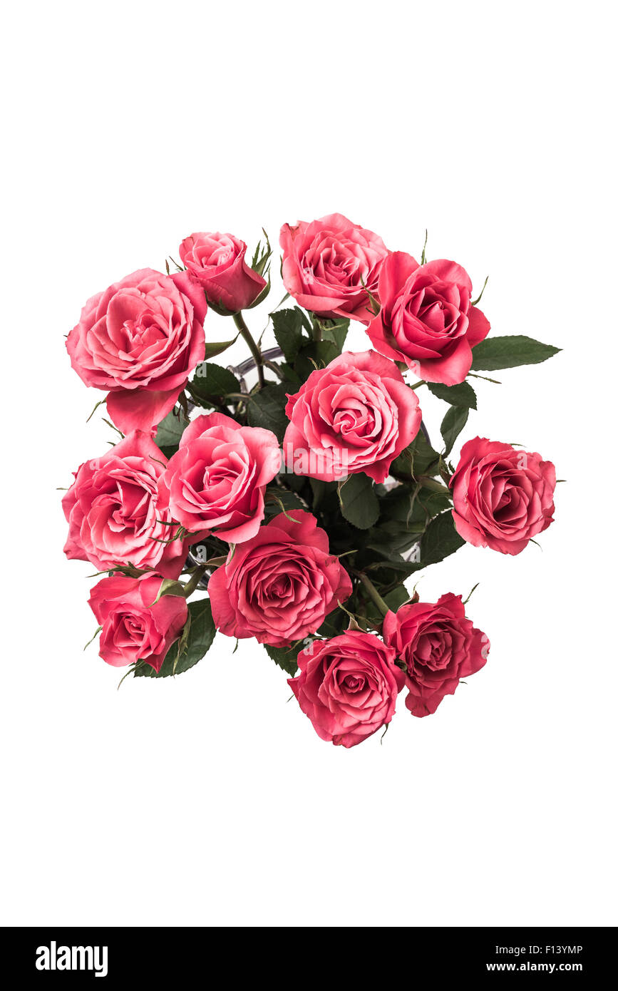 Bouquet von rosa Rosen isoliert auf einem weißen Hintergrund. Stockfoto