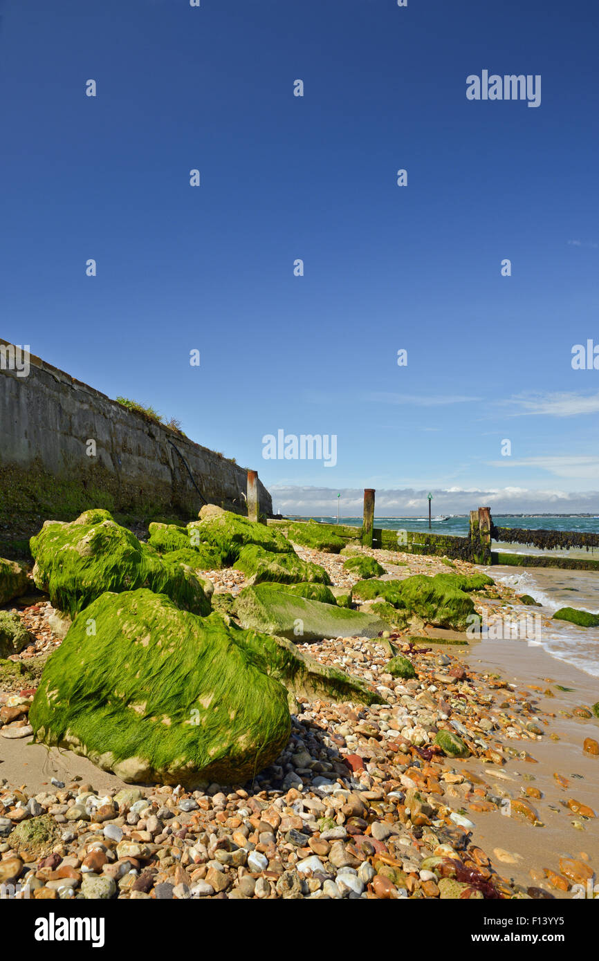 Küstenlinie mit Felsen Gang von Wight UK Stockfoto