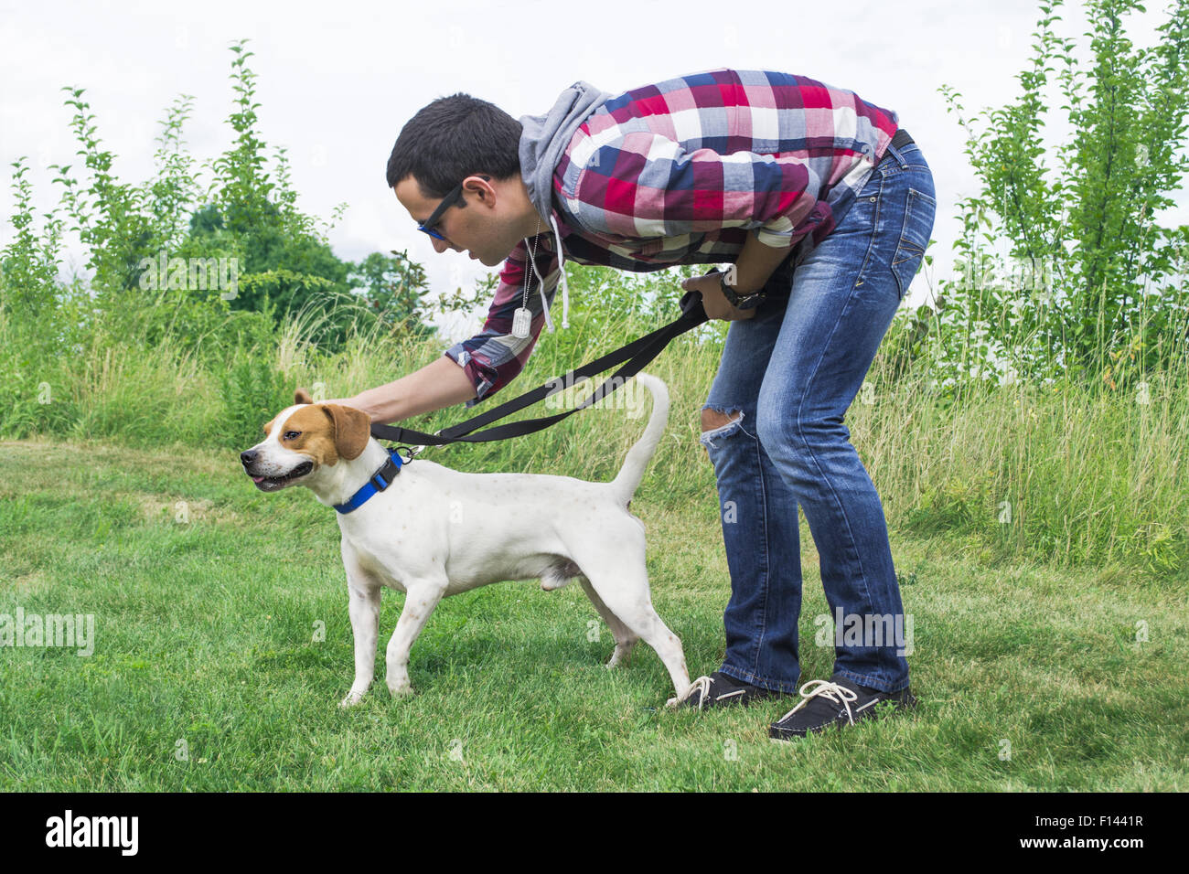 Ein junger Mann trainiert einen mittlerer Größe Hund. Stockfoto