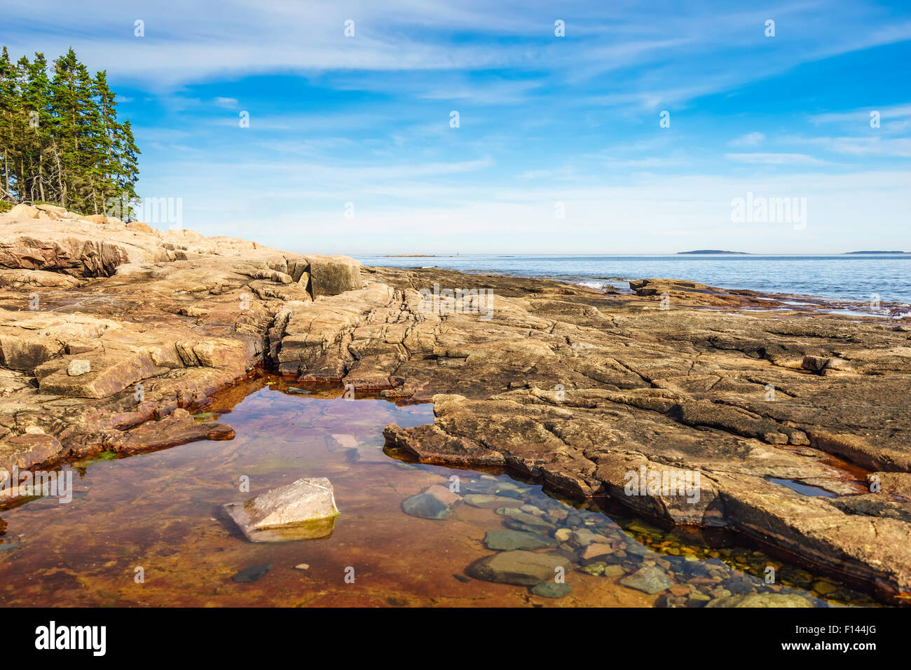 Tide Pool Gelände Stockfoto