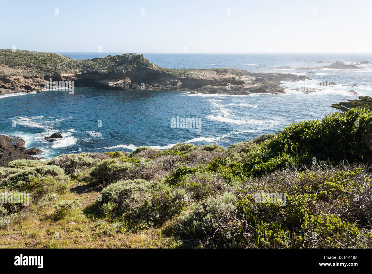 Point Lobos, Kalifornien Stockfoto