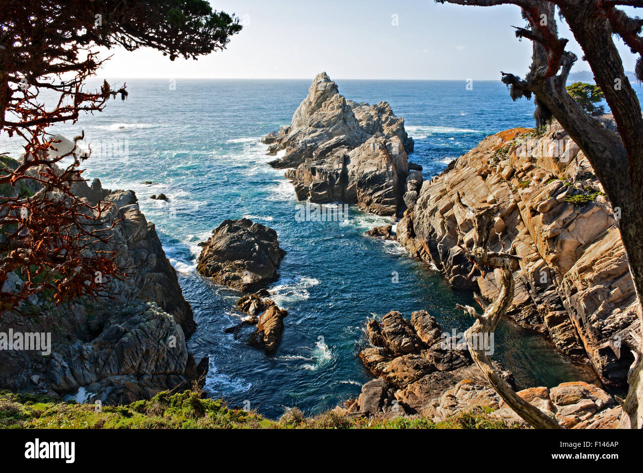 Point Lobos, Kalifornien Stockfoto