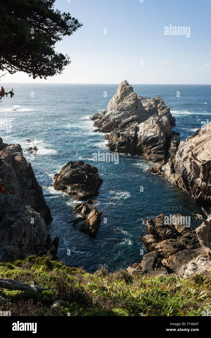 Point Lobos, Kalifornien Stockfoto