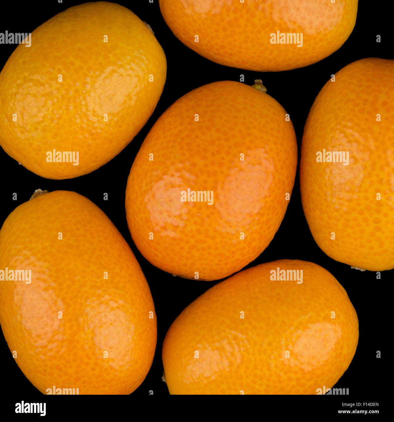 Ovale Kumquats Nahaufnahme. Makro-Foto von oben auf schwarzem Hintergrund. Stockfoto