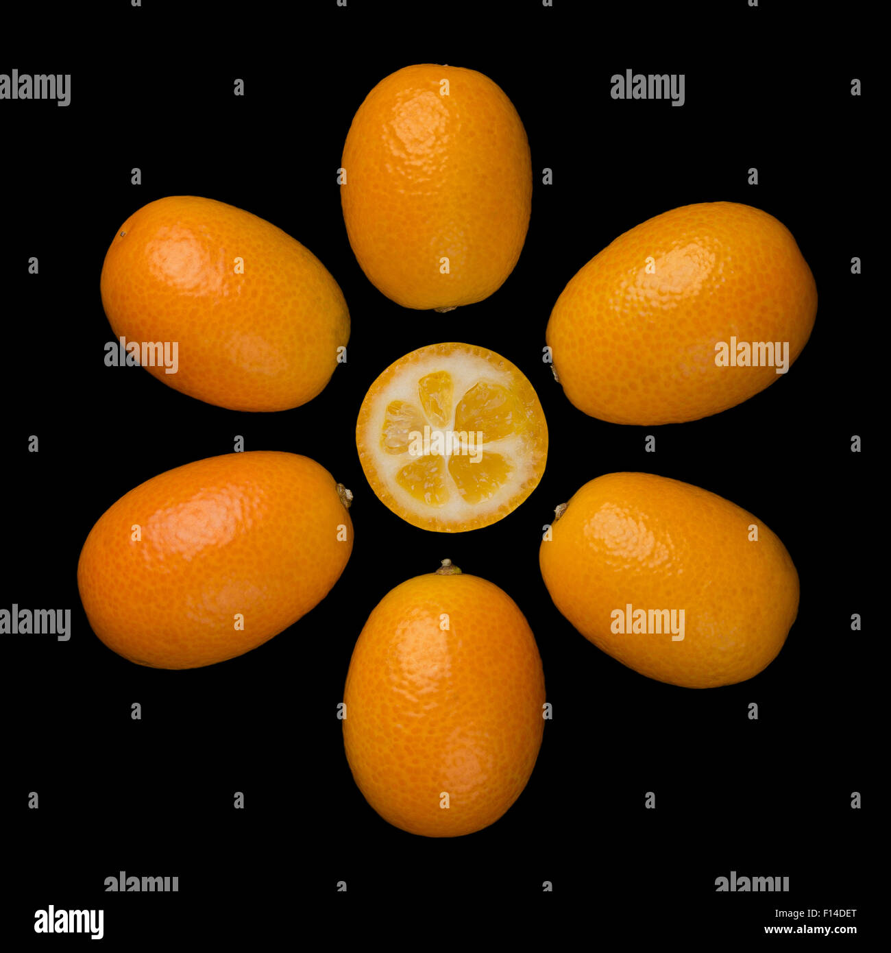 Ovale Kumquats bilden ein Sonnensymbol auf schwarzem Hintergrund Stockfoto