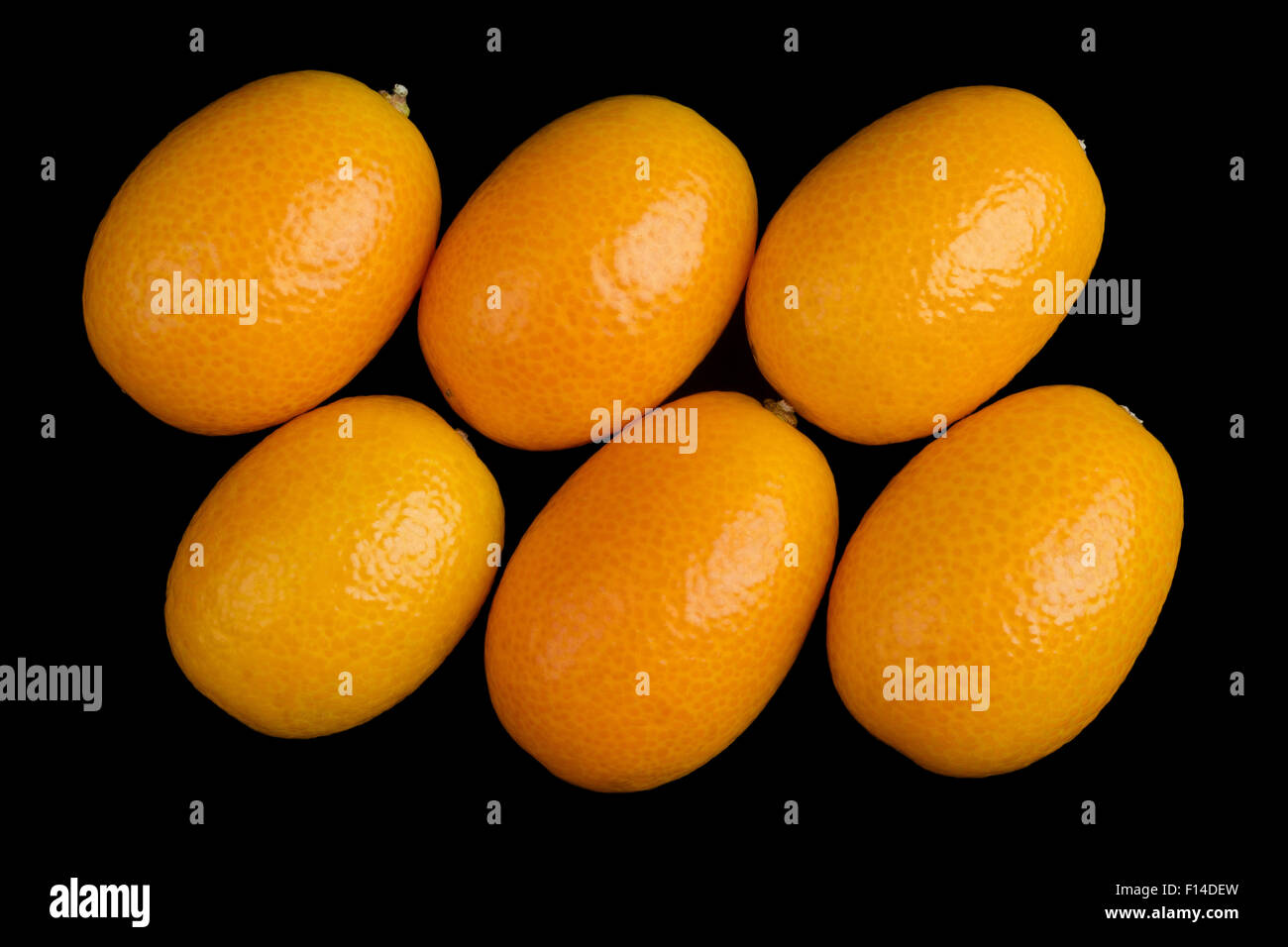 Schräge ovale Kumquats Nahaufnahme. Makro-Foto von oben auf schwarzem Hintergrund. Stockfoto