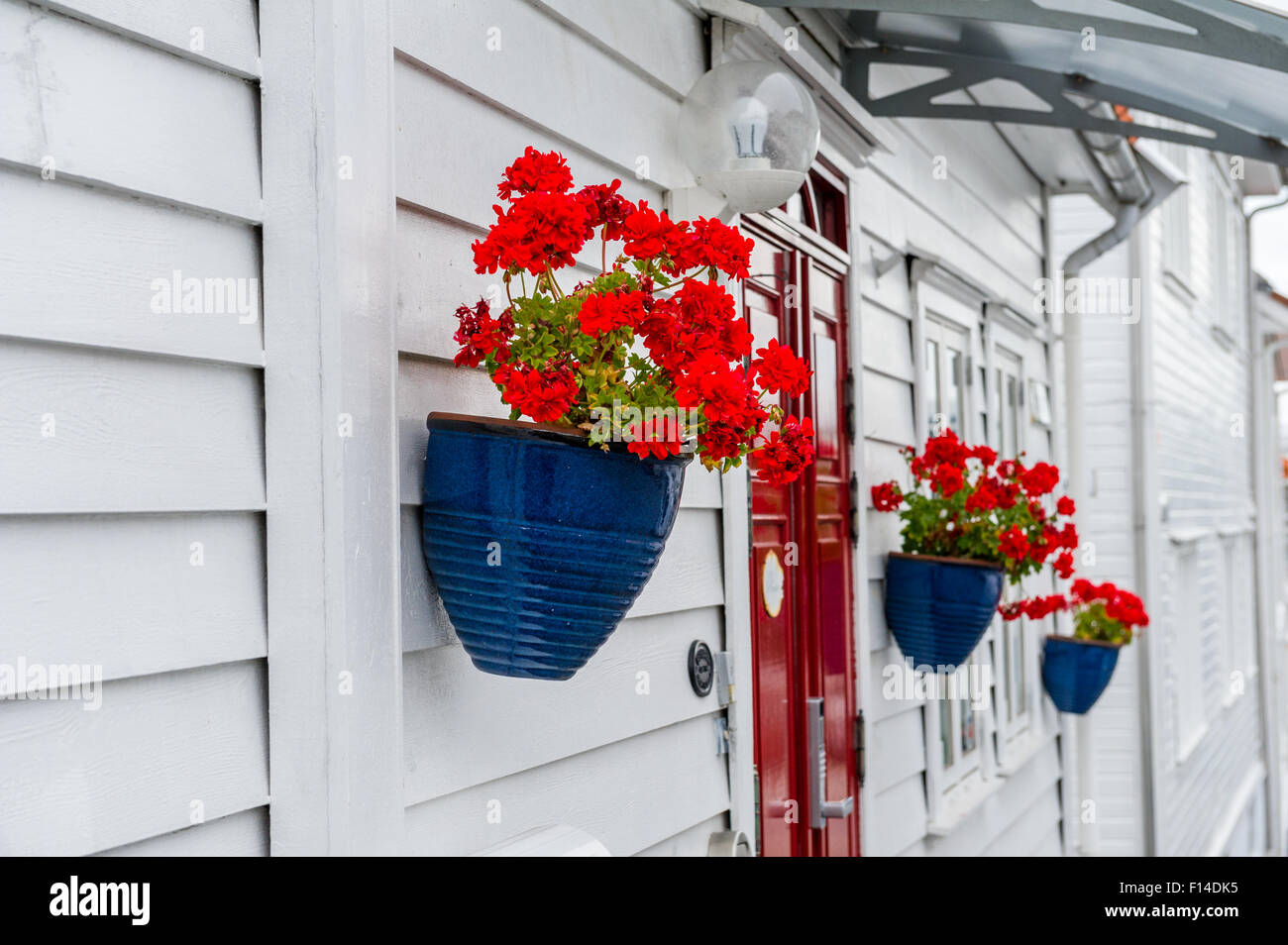Rot blühende Pflanzen in blau glasierten Blumentopf auf einem traditionellen norwegischen Holz gebautes Haus montiert. Stockfoto
