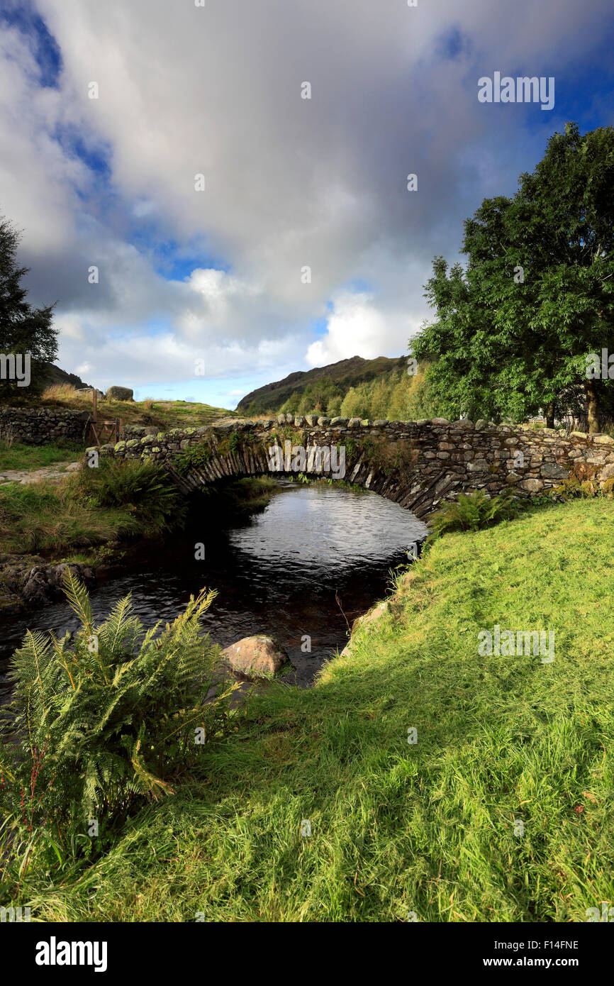 Sommer, Lastesel Steinbrücke über Watendlath Beck, Watendlath Tarn, Nationalpark Lake District, Cumbria, England, UK Stockfoto