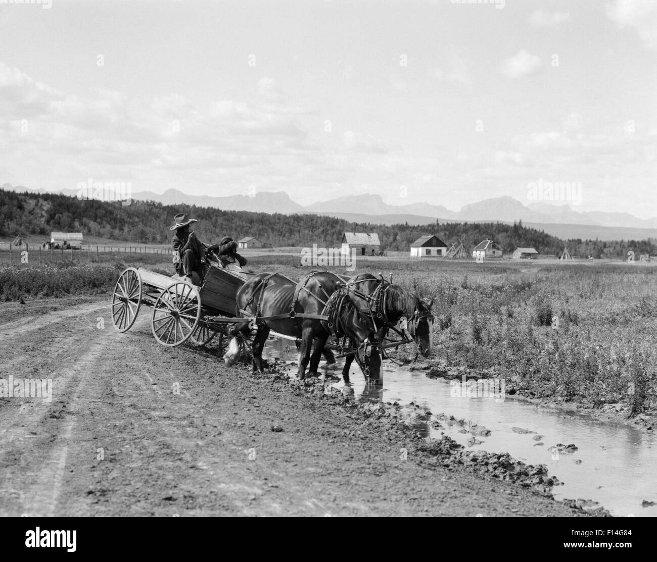 1920ER JAHREN INDIANISCHE STONEY SIOUX INDER PFERD & WAGEN PFERDE TRINKEN AUS STREAM VON ROAD ALBERTA KANADA Stockfoto