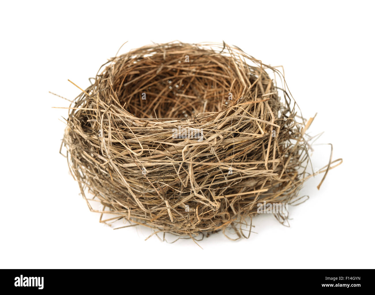 Leere Vogel nest isoliert auf weiss Stockfoto