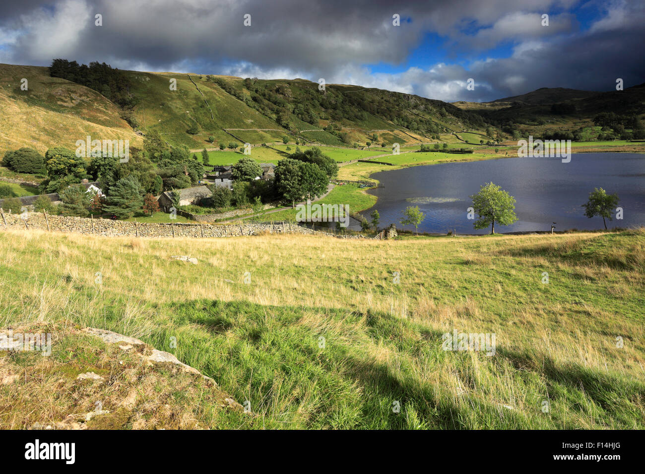 Sommer-Blick über Watendlath Tarn, Nationalpark Lake District, Cumbria, England, UK Stockfoto