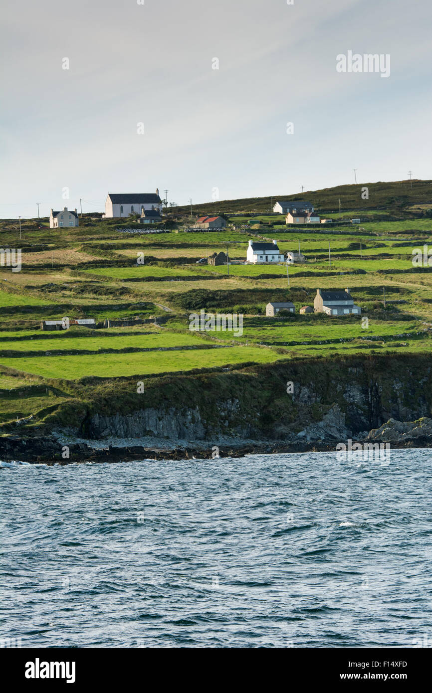 Felder und Häuser auf Cape Clear Island vor der Küste von Cork in Irland Stockfoto