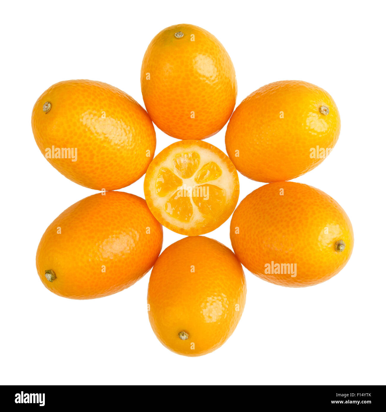 Ovale Kumquats bilden ein Sonnensymbol auf weißem Hintergrund Stockfoto