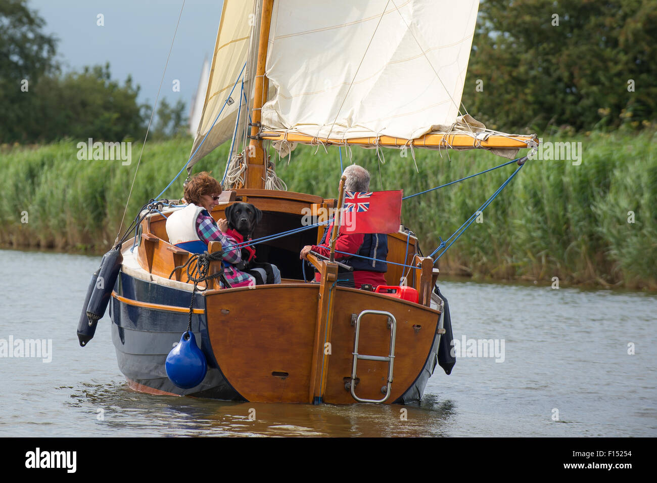 Segelboot auf den Norfolk Broads mit einem Labrador Hund als Passagier. Stockfoto