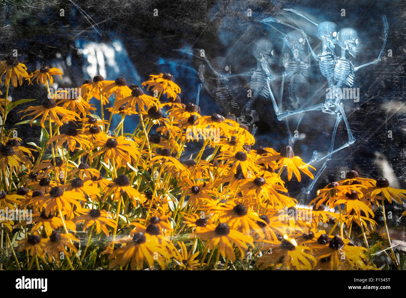 Scary Skeleton Geister Fee auf Blume Hintergrund tanzen Stockfoto