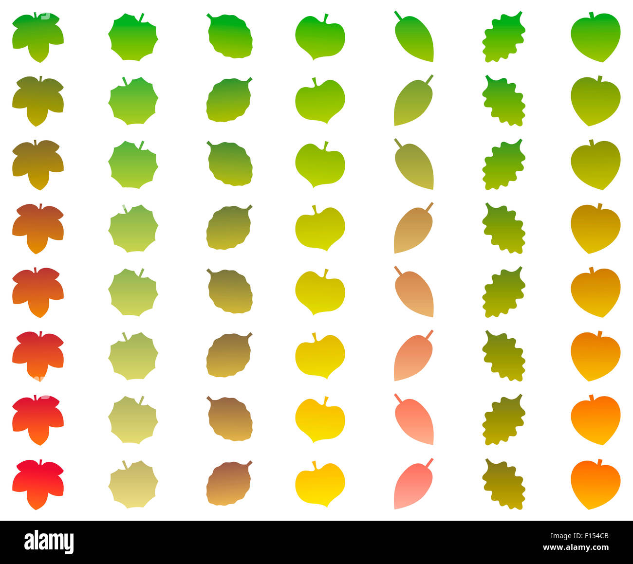 Blätter, die von Grün in herbstlichen Farben beim Herunterfallen ändern. Abbildung auf weißem Hintergrund. Stockfoto