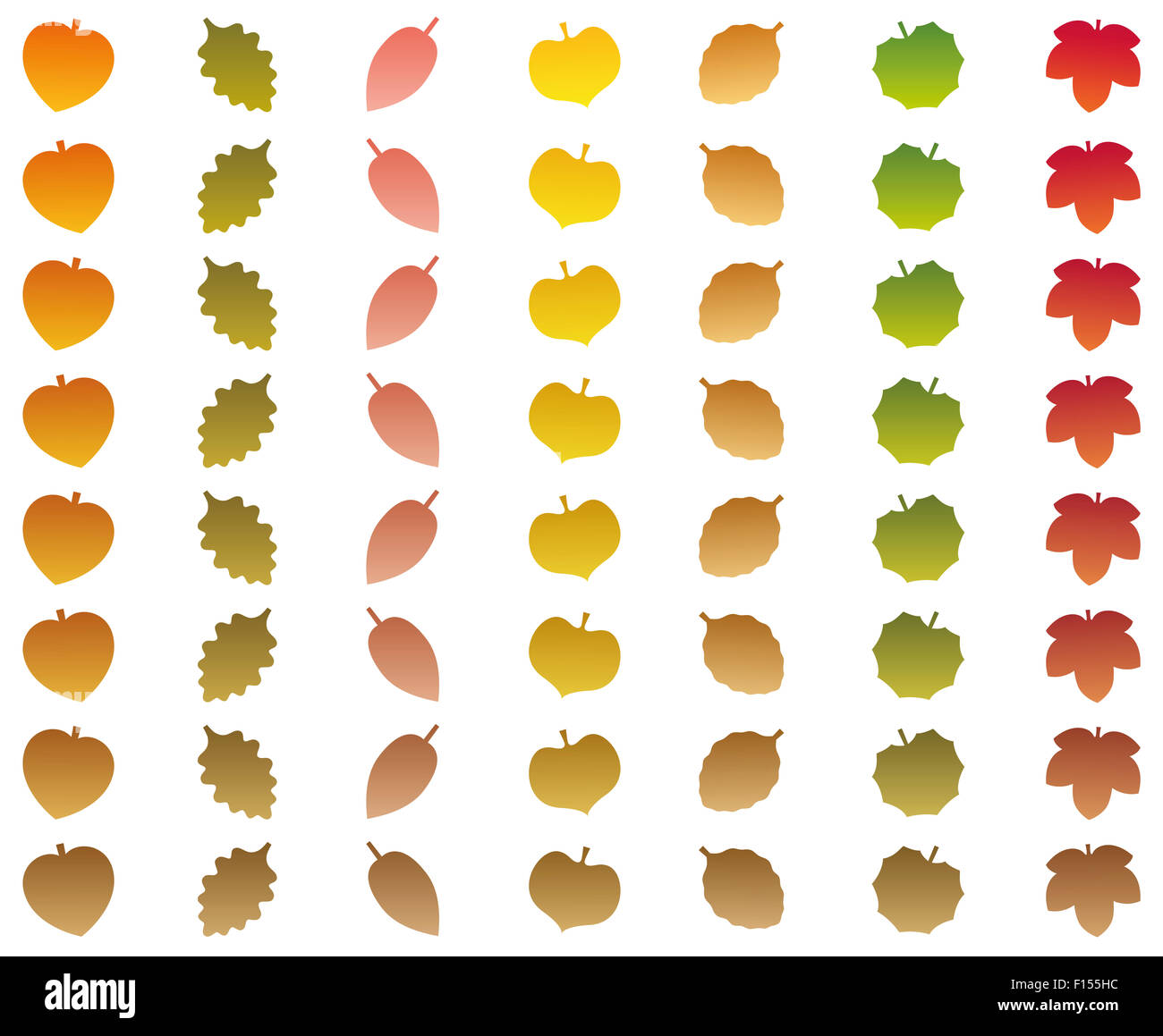 Blätter, das Ändern von Farben des Herbstes in vertrocknete braunen Farbe beim Herunterfallen. Abbildung auf weißem Hintergrund. Stockfoto