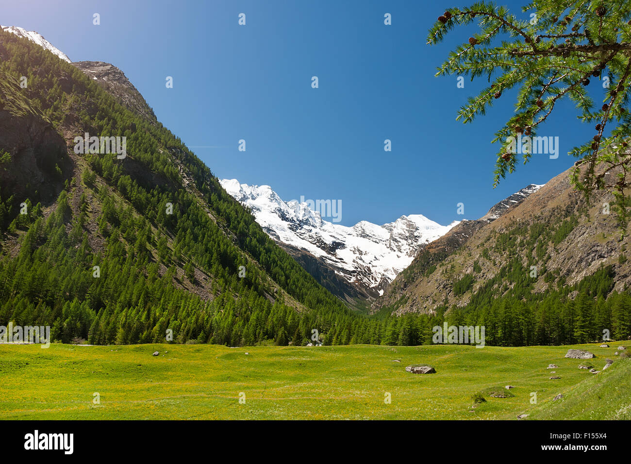 Panoramablick auf die Berge und das Tal im Park des Gran Paradiso, Italien Stockfoto