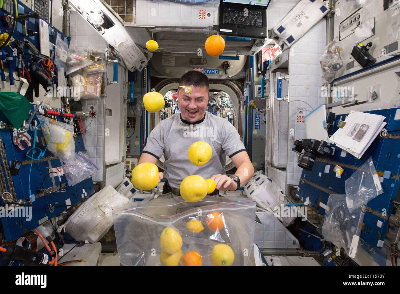 Internationale Raumstation ISS-Expedition 43 NASA-Astronaut Kjell Lindgren corrals die Versorgung mit frischem Obst, die auf dem Versorgungsschiff Kounotori 5 H-II Transfer Vehicle 25. August 2015 in der Erdumlaufbahn angekommen. Stockfoto