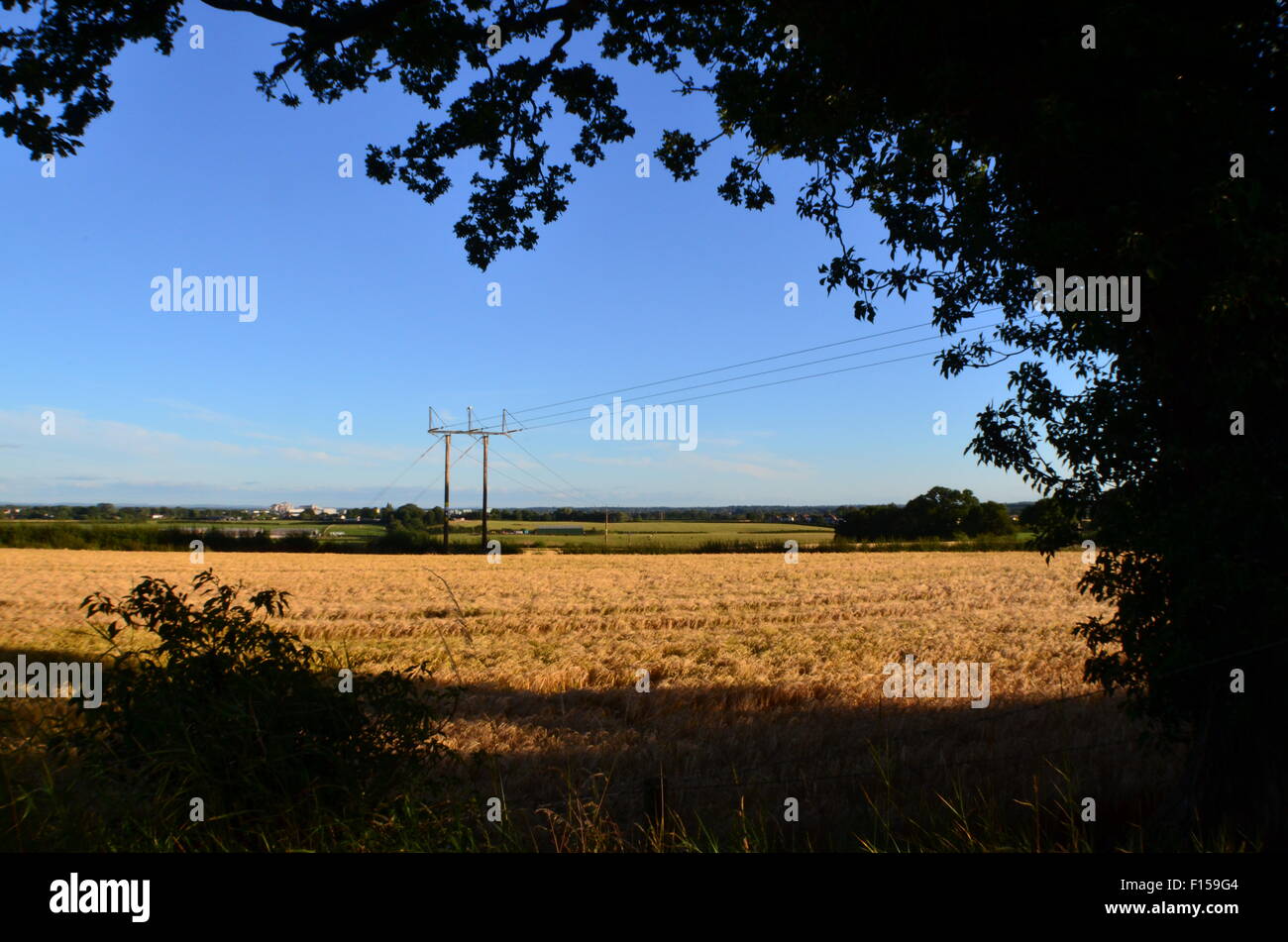 National Grid Stromleitung Stockfoto