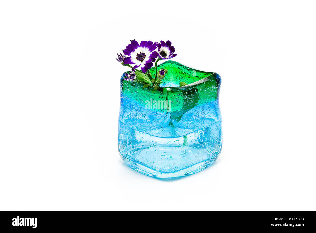 Blumen in blauem Glasvase isoliert auf weiss Stockfoto