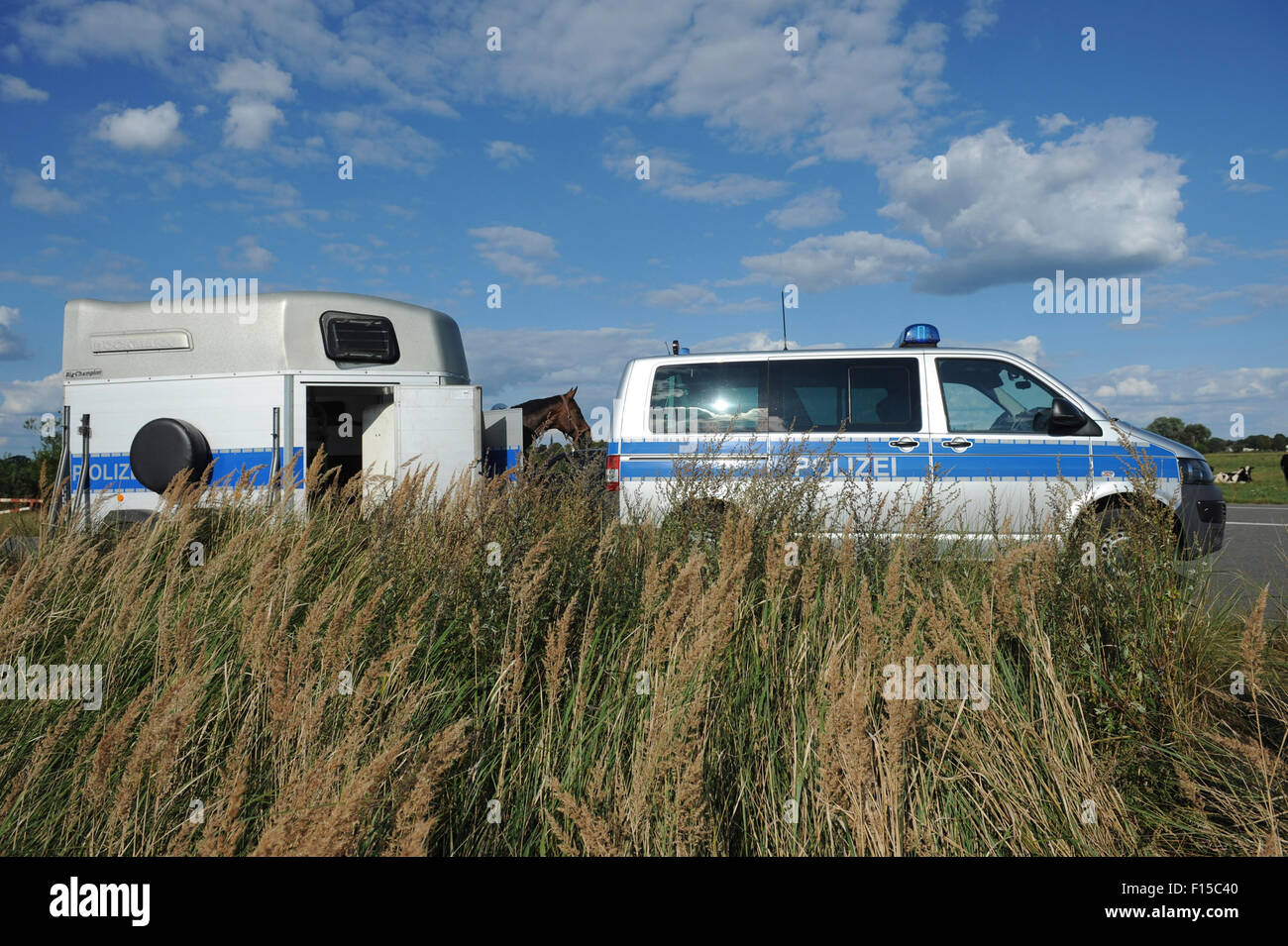 Dannenberg, Deutschland, Polizisten auf dem Weg nach Niedersachsen "Biosphäre Elbtalare Stockfoto