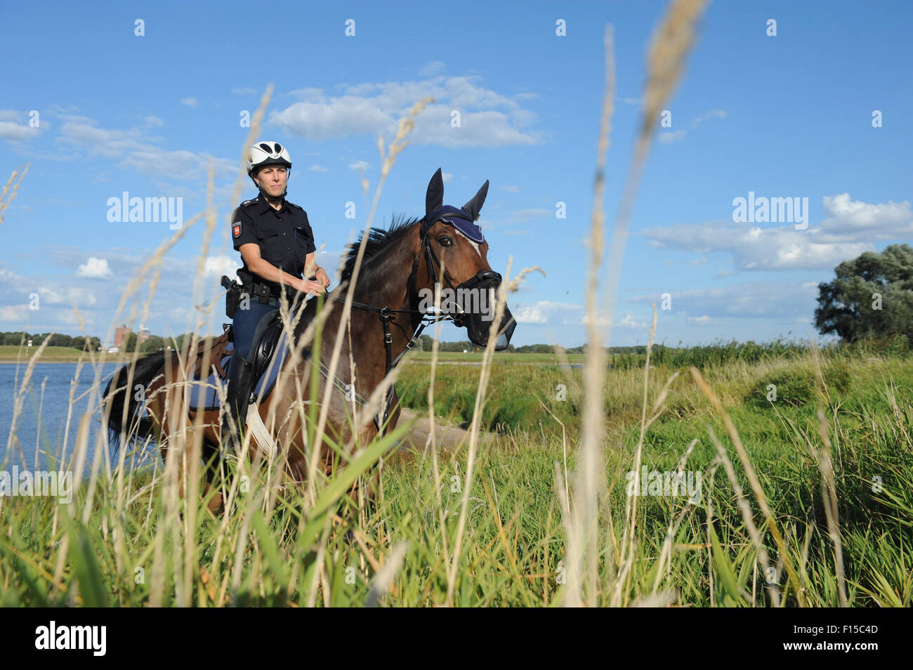 Dannenberg, Deutschland, Niedersachsen, Polizist in der Biosphäre reservieren Elbtal Stockfoto