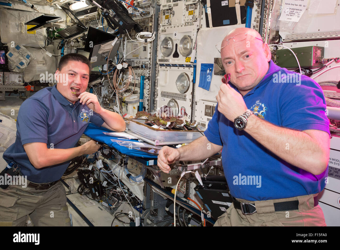 Internationale Raumstation ISS-Expedition 43 NASA-Astronauten Scott Kelly und Kjell Lindgren vorzubereiten, den ersten Geschmack des Essens, die angebaut und geerntet wurde im Raum 11. August 2015 in der Erdumlaufbahn zu probieren. Stockfoto