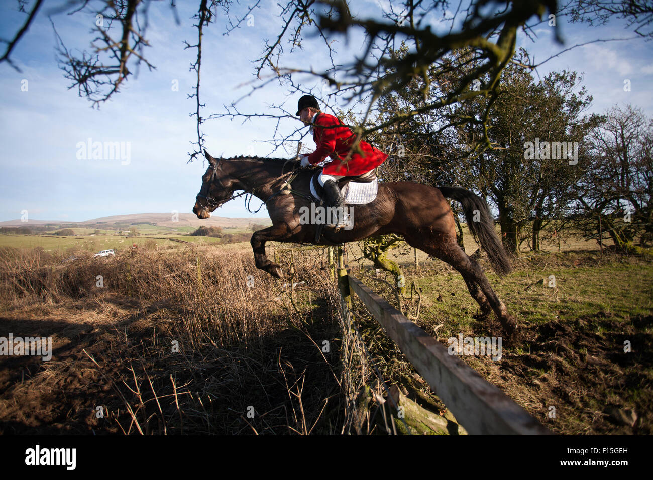 Fuchs-Jagd, das Tal der Lune Yorkshire Dales Foxhounds, Yorkshire Dales, England, Vereinigtes Königreich Stockfoto