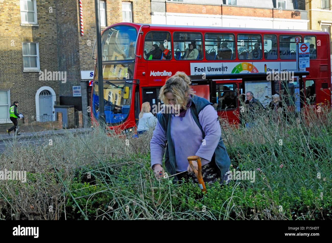 Lady Freiwilligen Gärtner arbeiten in einem kirchlichen Garten neben der A1, Holloway Road mit Bus hinter London Borough of Islington. Stockfoto