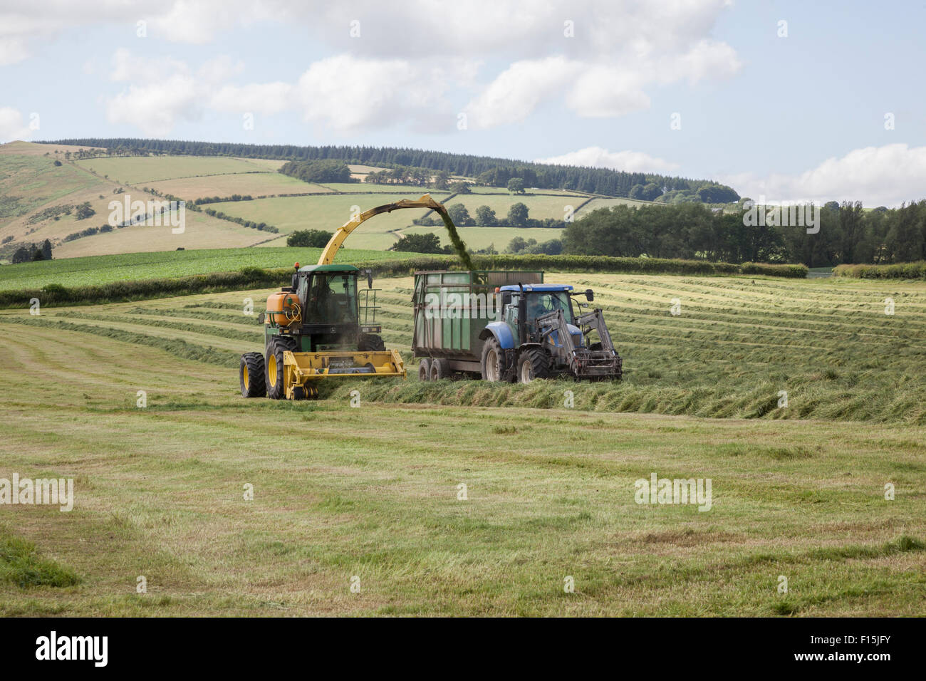 Silierung Stockfoto