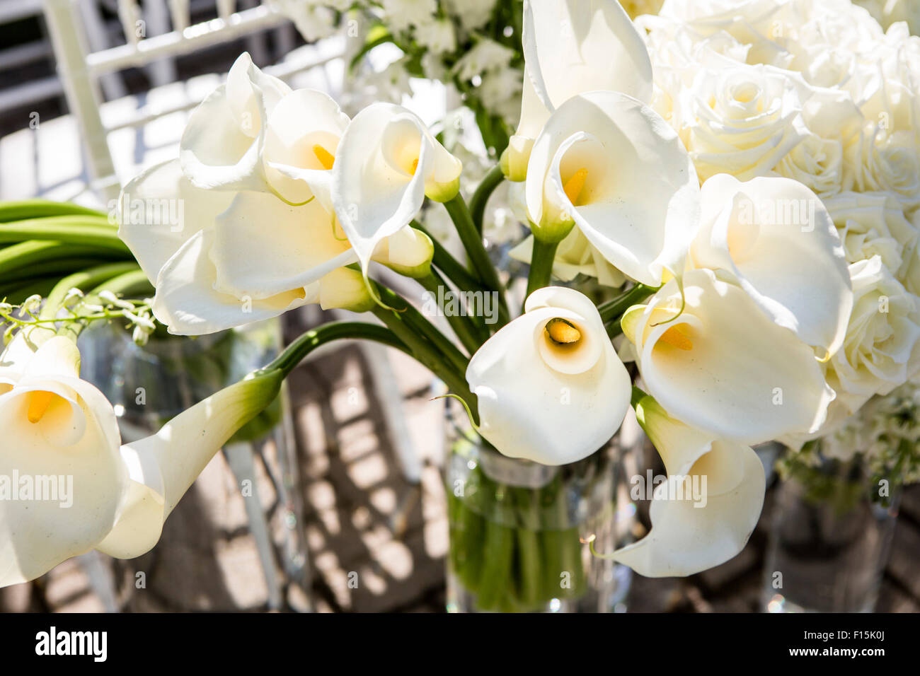 Cloes-Up der Calla Lilien zur Hochzeit im freien Stockfoto