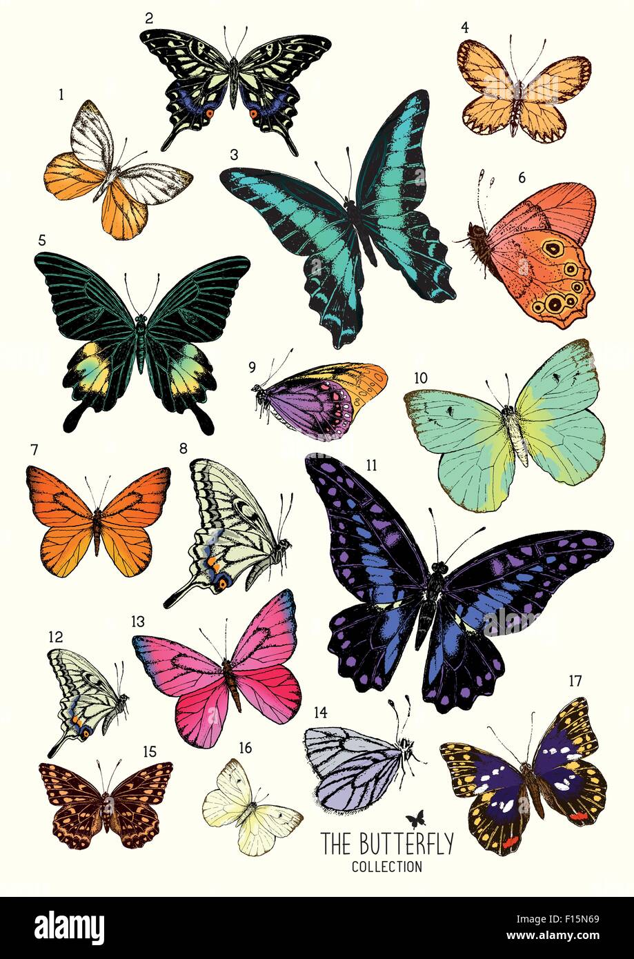 Große Sammlung von Schmetterlingen, legen Sie handgezeichnete isoliert. Vektor-illustration Stock Vektor
