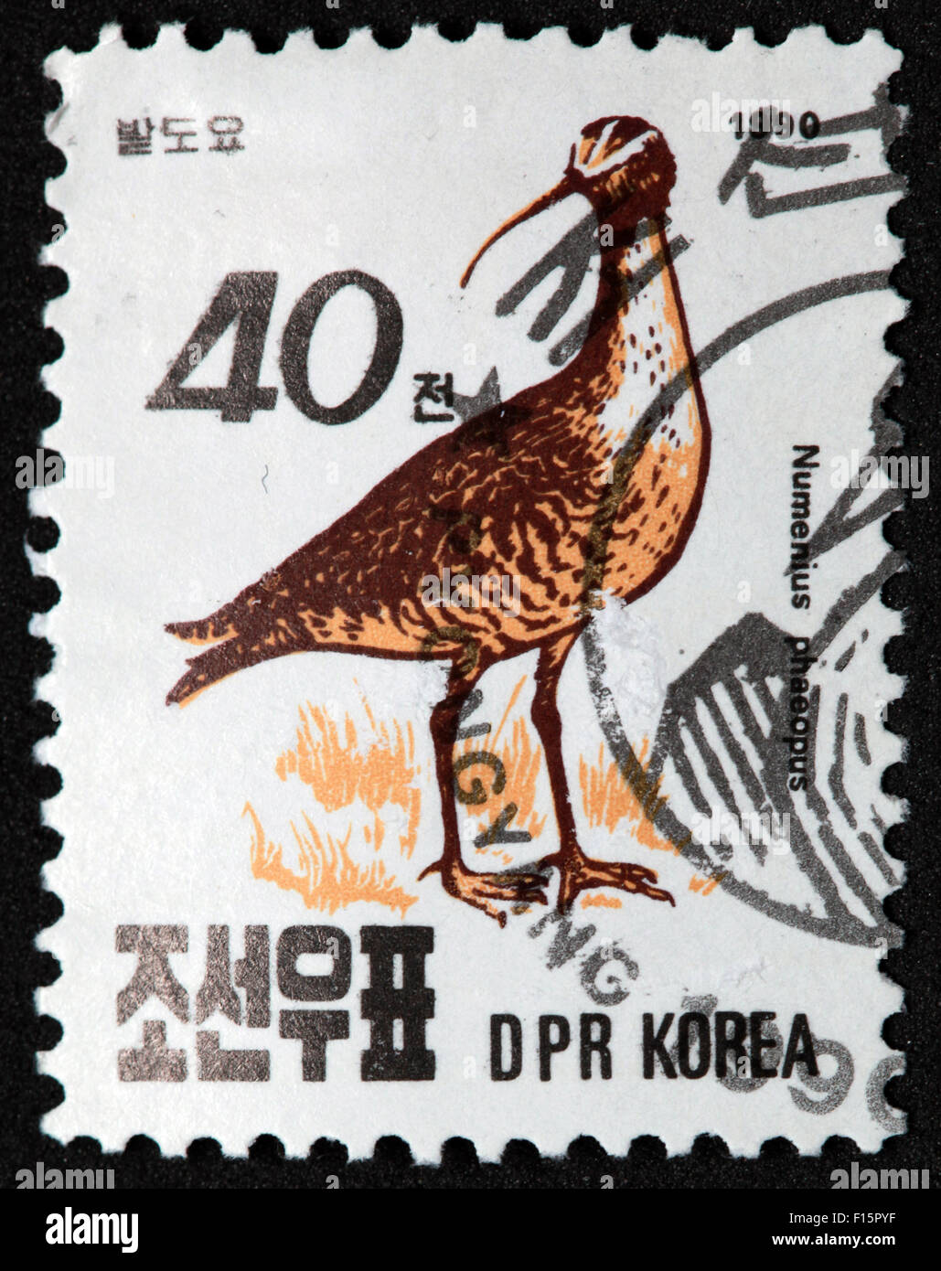 Numenius Phaeopus Vogel DPR Korea 40 Numenius Stempel Stockfoto