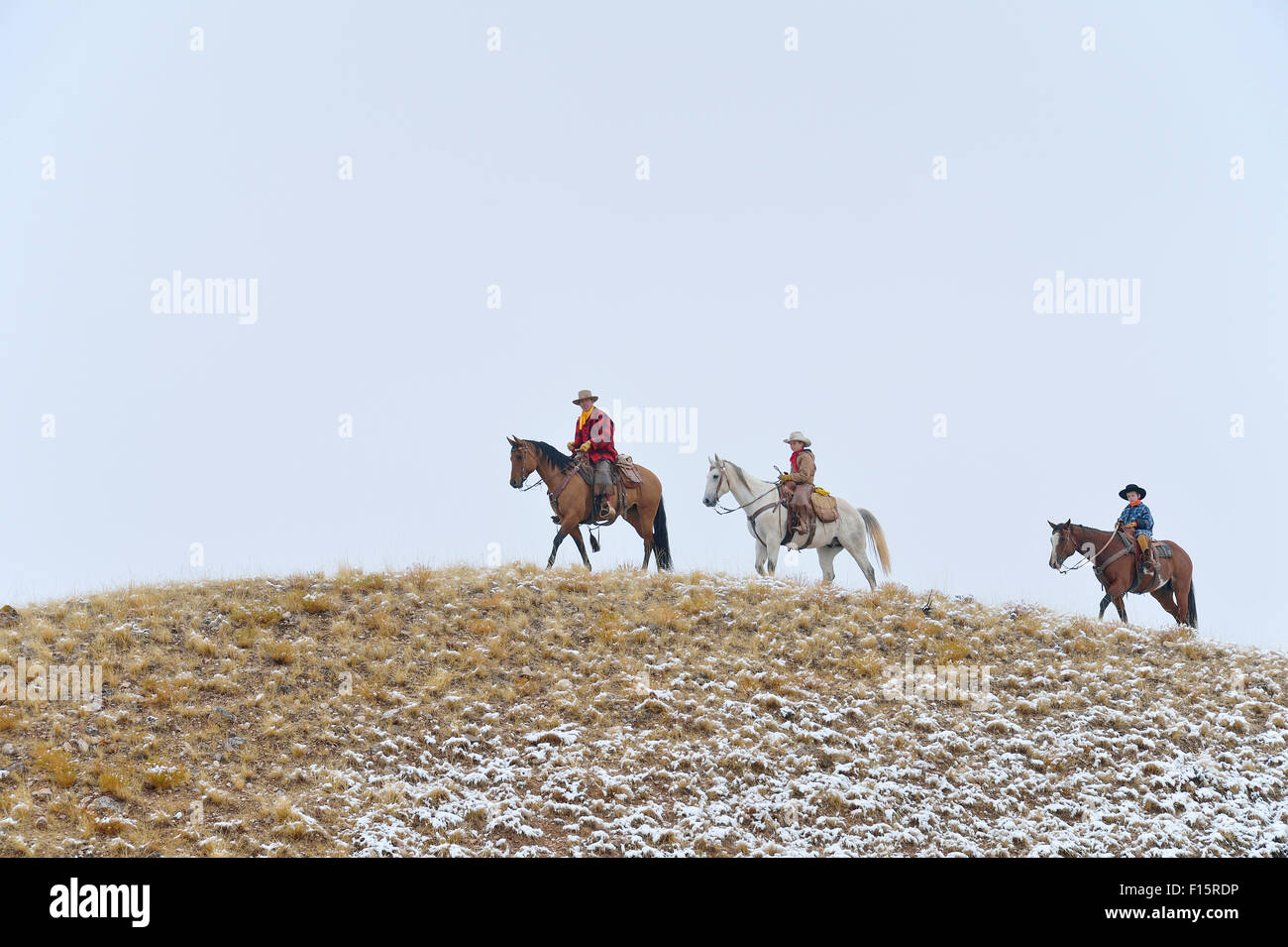 Cowboy mit zwei jungen Cowboys reiten entlang Horizont mit Schnee, Rocky Mountains, Wyoming, USA Stockfoto