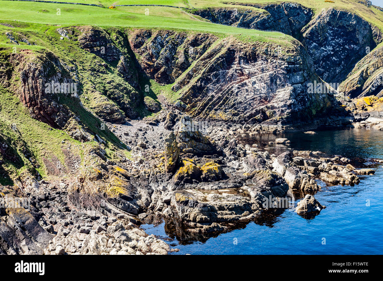 Teil der geologisch interessante Landschaft bei St. Abbs Head, Berwickshire, Schottland, UK Stockfoto