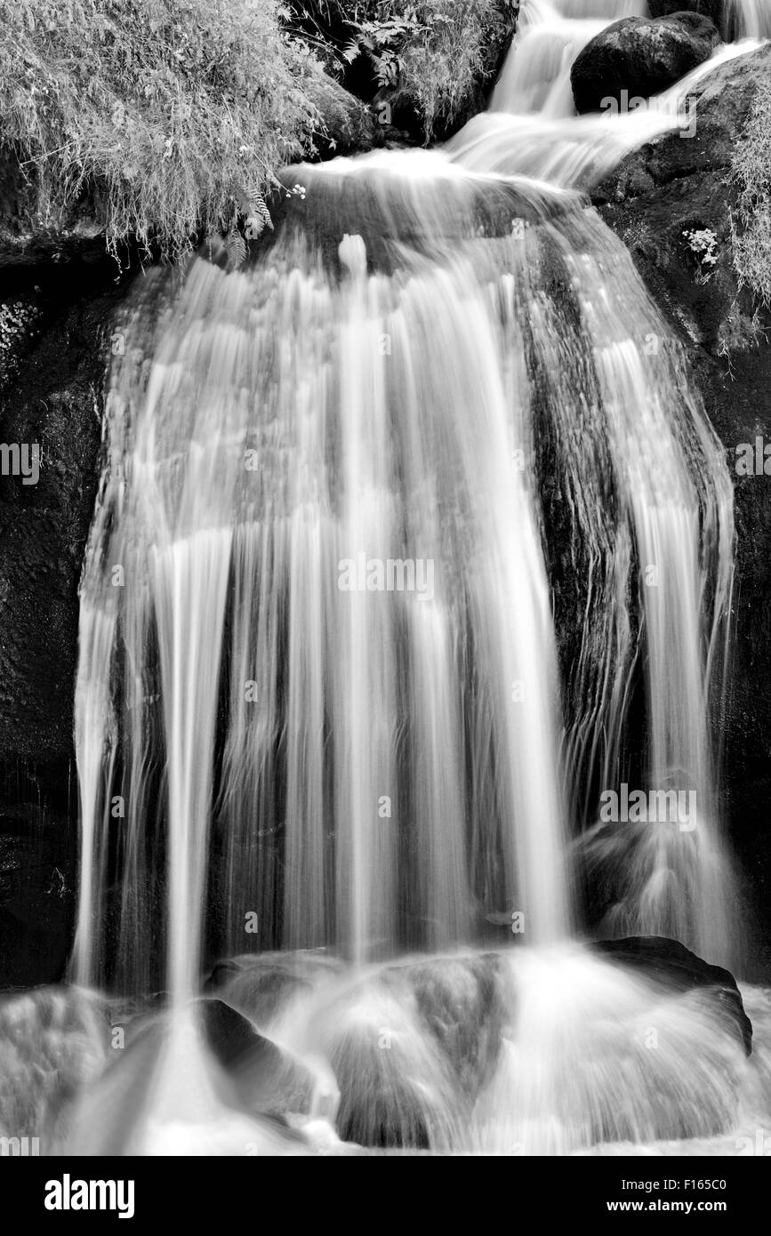 Deutschland, Schwarzwald: Kaskade der Triberger Wasserfälle in schwarz / weiß Stockfoto